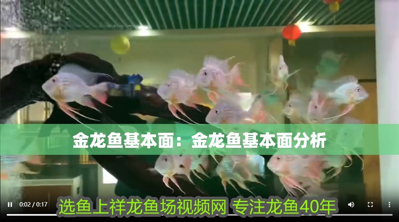 金龍魚基本面：金龍魚基本面分析