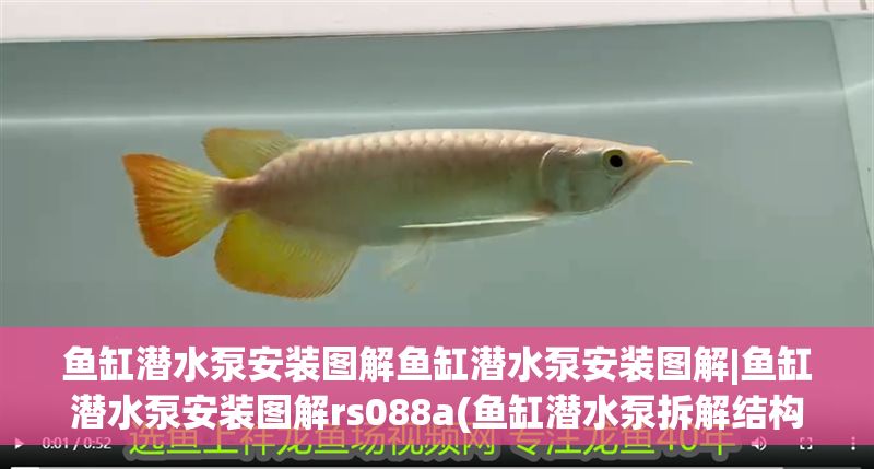 魚缸潛水泵安裝圖解魚缸潛水泵安裝圖解|魚缸潛水泵安裝圖解rs088a(魚缸潛水泵拆解結構圖)