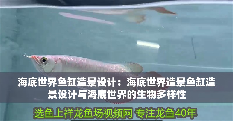 海底世界魚缸造景設計：海底世界造景魚缸造景設計與海底世界的生物多樣性 海底世界魚缸造景設計：海底世界造景魚缸造景設計與海底世界的生物多樣性 魚缸百科