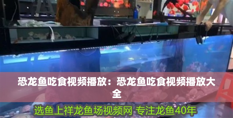 紅龍魚用什么顏色燈光好