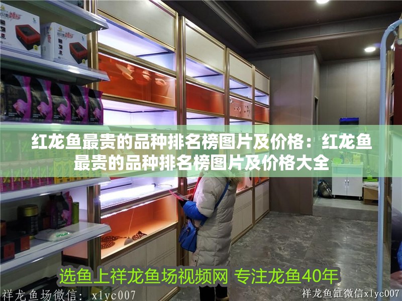 紅龍魚最貴的品種排名榜圖片及價格：紅龍魚最貴的品種排名榜圖片及價格大全