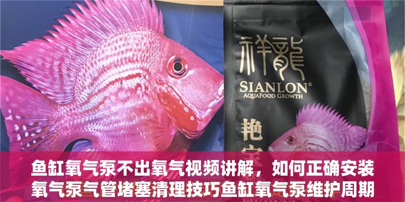 魚缸氧氣泵不出氧氣視頻講解，如何正確安裝氧氣泵氣管堵塞清理技巧魚缸氧氣泵維護周期