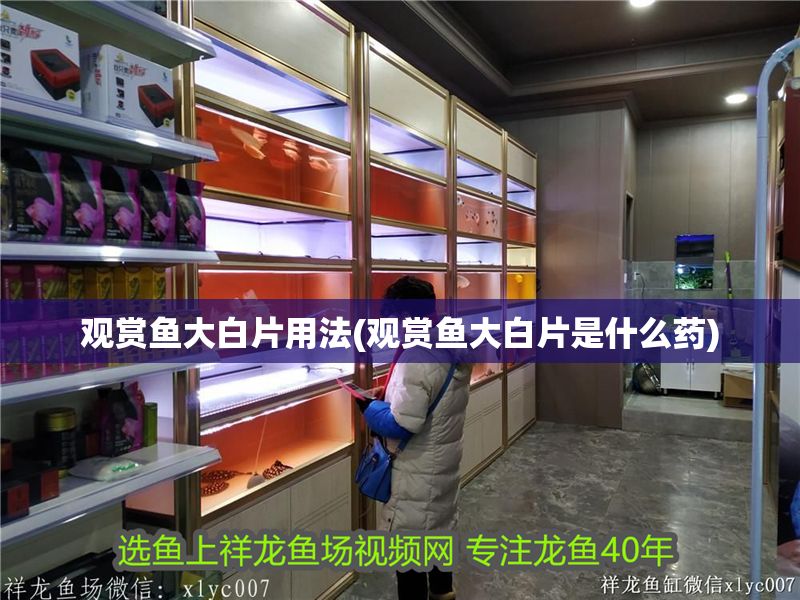觀賞魚大白片用法(觀賞魚大白片是什么藥)
