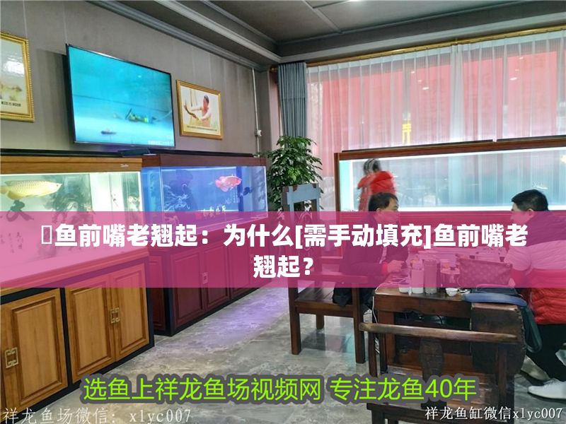 魟魚前嘴老翹起：為什么[需手動填充]魚前嘴老翹起？ 魟魚前嘴老翹起：為什么[需手動填充]魚前嘴老翹起？ 魟魚百科 第2張