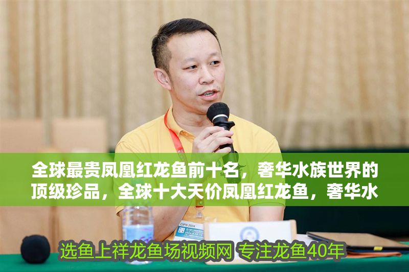 全球最貴鳳凰紅龍魚前十名，奢華水族世界的頂級珍品，全球十大天價鳳凰紅龍魚，奢華水族界的頂級收藏品 全球最貴鳳凰紅龍魚前十名，奢華水族世界的頂級珍品，全球十大天價鳳凰紅龍魚，奢華水族界的頂級收藏品 龍魚百科 第1張