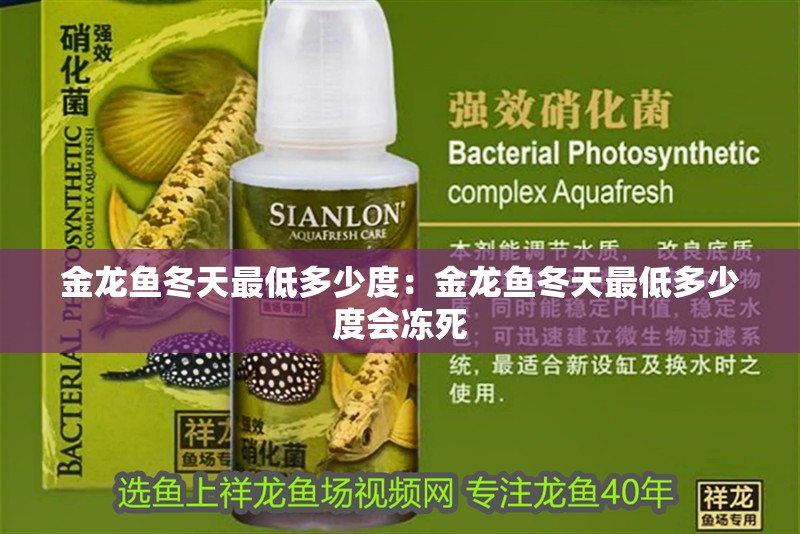 金龍魚冬天最低多少度：金龍魚冬天最低多少度會凍死