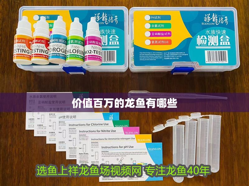 價(jià)值百萬(wàn)的龍魚(yú)有哪些