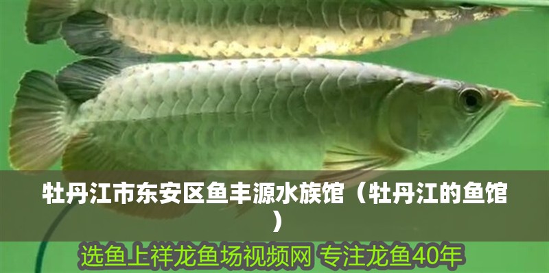 牡丹江市東安區魚豐源水族館（牡丹江的魚館）