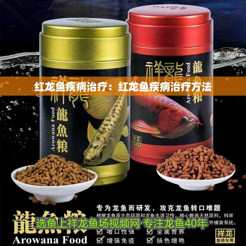 紅龍魚疾病治療：紅龍魚疾病治療方法