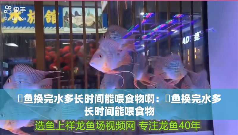 魟魚換完水多長(zhǎng)時(shí)間能喂食物?。呼勽~換完水多長(zhǎng)時(shí)間能喂食物