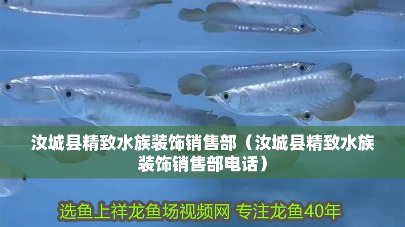 汝城縣精致水族裝飾銷售部（汝城縣精致水族裝飾銷售部電話）