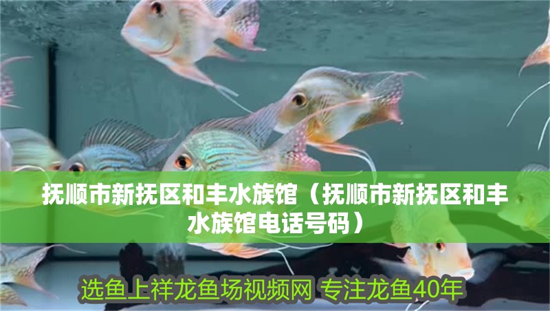 撫順市新?lián)釁^(qū)和豐水族館（撫順市新?lián)釁^(qū)和豐水族館電話號碼）