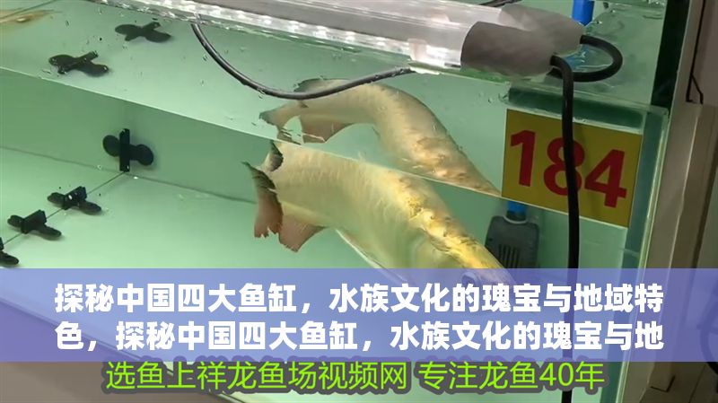 探秘中國四大魚缸，水族文化的瑰寶與地域特色，探秘中國四大魚缸，水族文化的瑰寶與地域特色