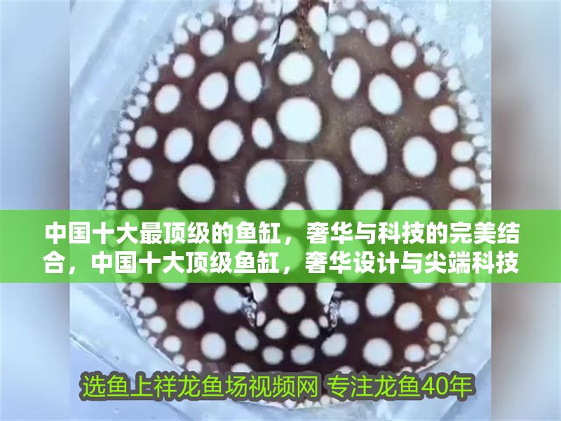 中國(guó)十大最頂級(jí)的魚缸，奢華與科技的完美結(jié)合，中國(guó)十大頂級(jí)魚缸，奢華設(shè)計(jì)與尖端科技的極致融合