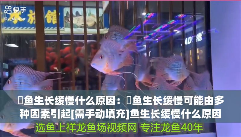 魟魚(yú)生長(zhǎng)緩慢什么原因：魟魚(yú)生長(zhǎng)緩慢可能由多種因素引起[需手動(dòng)填充]魚(yú)生長(zhǎng)緩慢什么原因 魟魚(yú)生長(zhǎng)緩慢什么原因：魟魚(yú)生長(zhǎng)緩慢可能由多種因素引起[需手動(dòng)填充]魚(yú)生長(zhǎng)緩慢什么原因 魟魚(yú)百科 第2張