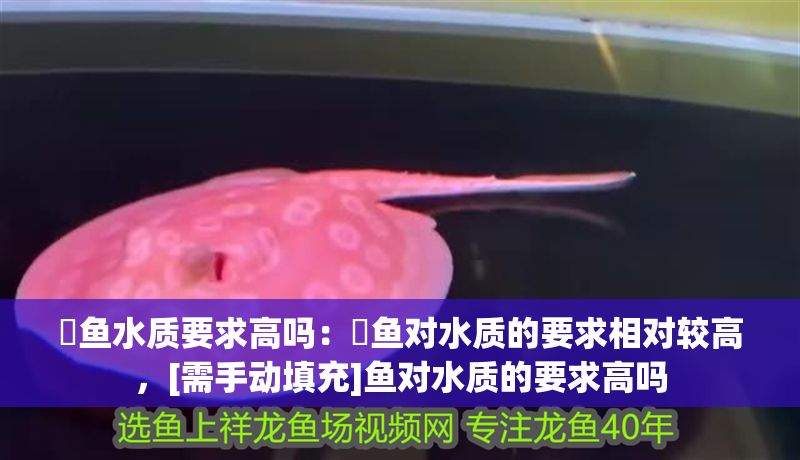 魟魚水質(zhì)要求高嗎：魟魚對水質(zhì)的要求相對較高，[需手動填充]魚對水質(zhì)的要求高嗎