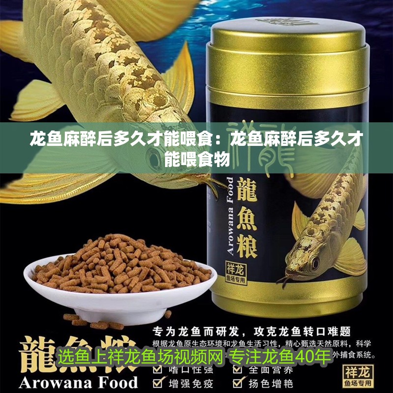 龍魚麻醉后多久才能喂食:龍魚麻醉后多久才能喂食物 水族問答 龍魚麻醉后多久才能喂食:龍魚麻醉后多久才能喂食物 龍魚麻醉后多久才能喂食:龍魚麻醉后多久才能喂食物 水族問答