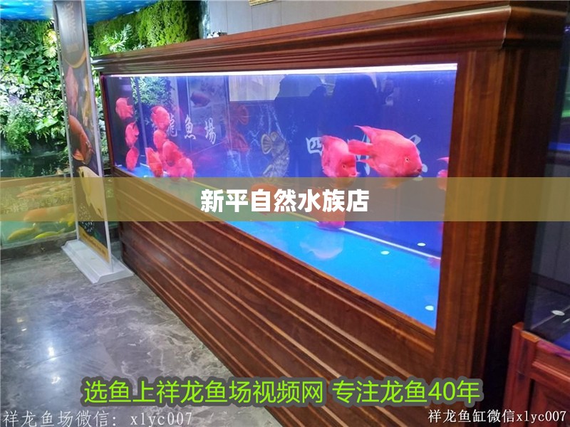 新平自然水族店