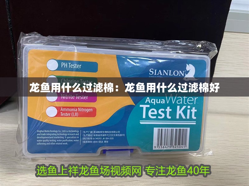 龍魚用什么過濾棉：龍魚用什么過濾棉好