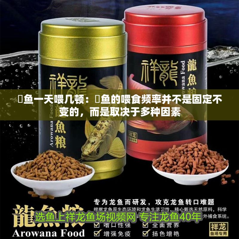 魟魚一天喂幾頓:魟魚的喂食頻率并不是固定不變的,而是取決于多種因素 魟魚百科 第2張 魟魚一天喂幾頓:魟魚的喂食頻率并不是固定不變的,而是取決于多種因素 魟魚一天喂幾頓:魟魚的喂食頻率并不是固定不變的,而是取決于多種因素 魟魚百科 第2張