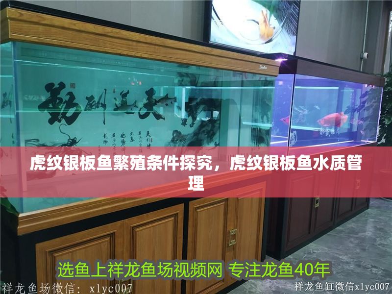 虎紋銀板魚繁殖條件探究，虎紋銀板魚水質管理