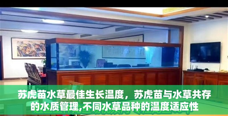 蘇虎苗水草最佳生長溫度，蘇虎苗與水草共存的水質管理,不同水草品種的溫度適應性