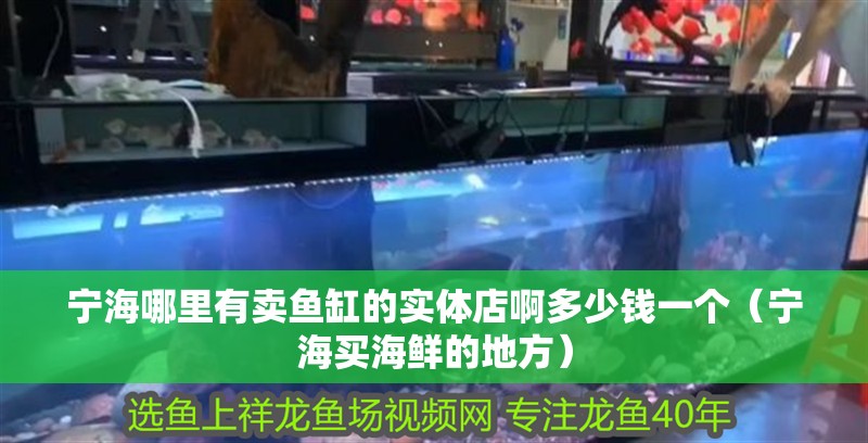 寧海哪里有賣魚缸的實體店啊多少錢一個（寧海買海鮮的地方） 寧海哪里有賣魚缸的實體店啊多少錢一個（寧海買海鮮的地方） 全國水族館企業(yè)名錄 第1張
