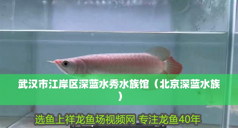 武漢市江岸區深藍水秀水族館（北京深藍水族）
