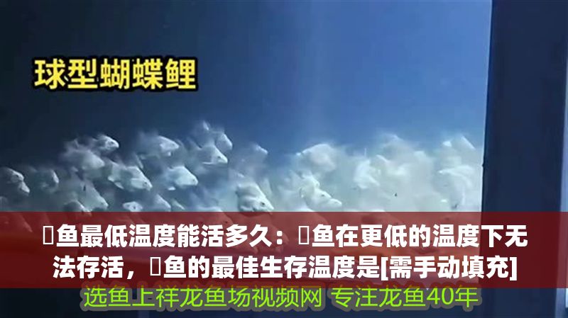 魟魚最低溫度能活多久：魟魚在更低的溫度下無法存活，魟魚的最佳生存溫度是[需手動填充]