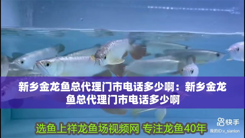 博特水泵造浪模式圖解(水泵的造浪模式什么用)
