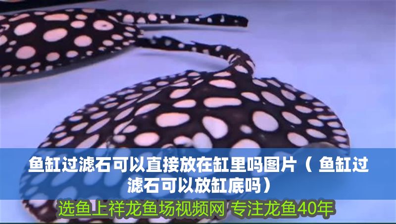 魚缸過濾石可以直接放在缸里嗎圖片（ 魚缸過濾石可以放缸底嗎）