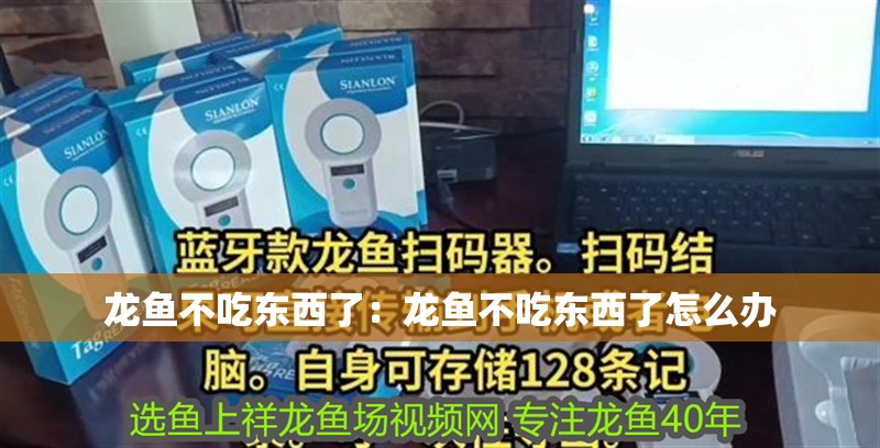 龍魚不吃東西了:龍魚不吃東西了怎么辦 水族問答 龍魚不吃東西了:龍魚不吃東西了怎么辦 龍魚不吃東西了:龍魚不吃東西了怎么辦 水族問答