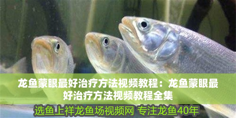 森森魚缸店鋪