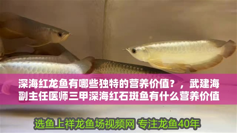 深海紅龍魚有哪些獨特的營養價值？，武建海副主任醫師三甲深海紅石斑魚有什么營養價值