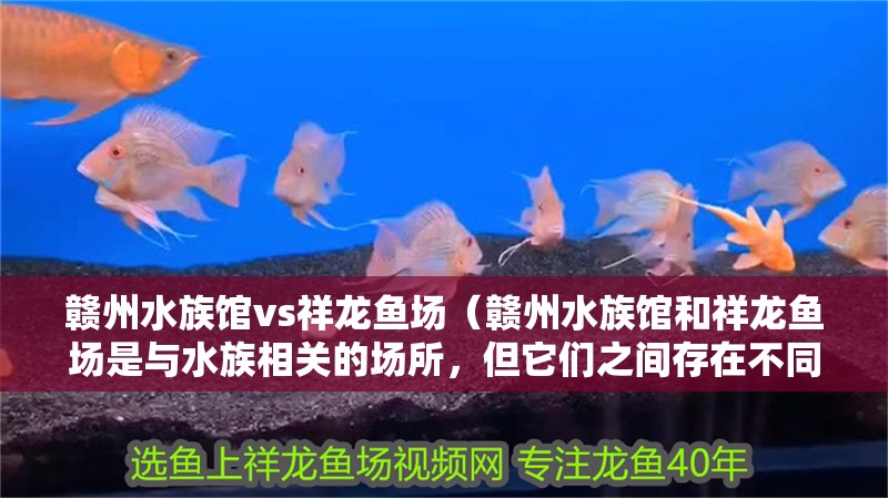 贛州水族館vs祥龍魚場（贛州水族館和祥龍魚場是與水族相關的場所，但它們之間存在不同）