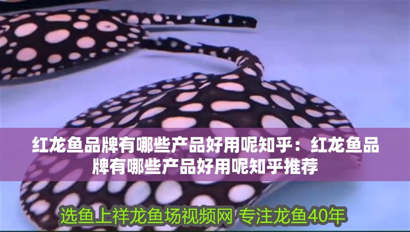 紅龍魚品牌有哪些產品好用呢知乎：紅龍魚品牌有哪些產品好用呢知乎推薦