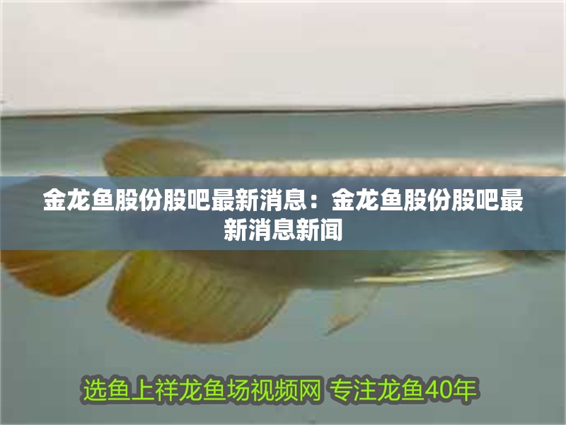 龍魚呆在缸底角落不動