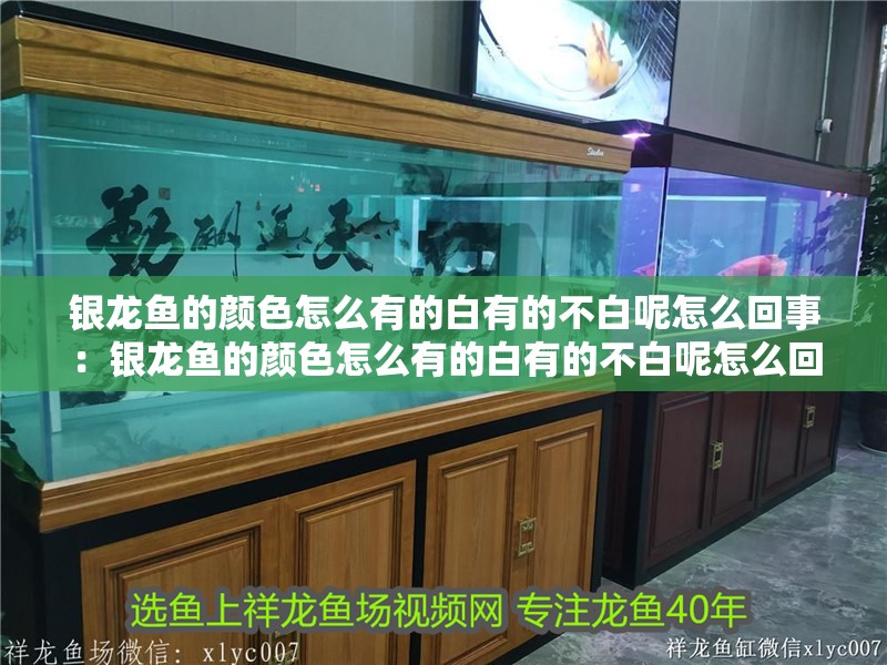 銀龍魚的顏色怎么有的白有的不白呢怎么回事：銀龍魚的顏色怎么有的白有的不白呢怎么回事