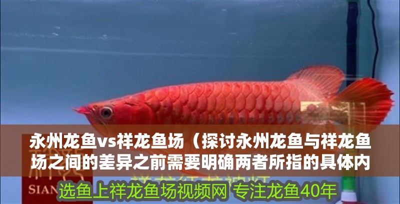 <strong><mark>永州</mark></strong>龍魚vs祥龍魚場（探討<strong><mark>永州</mark></strong>龍魚與祥龍魚場之間的差異之前需要明確兩者所指的具體內容）