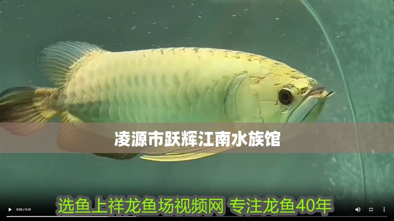 凌源市躍輝江南水族館