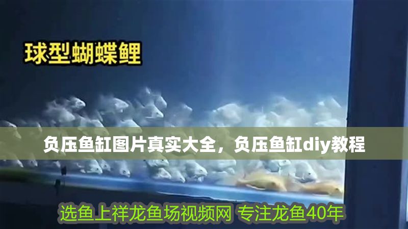 負壓魚缸圖片真實大全,負壓魚缸diy教程 魚缸百科 第2張 負壓魚缸圖片真實大全,負壓魚缸diy教程 負壓魚缸圖片真實大全,負壓魚缸diy教程 魚缸百科 第2張