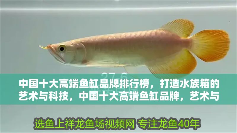 中國十大高端魚缸品牌排行榜，打造水族箱的藝術與科技，中國十大高端魚缸品牌，藝術與科技的完美融合