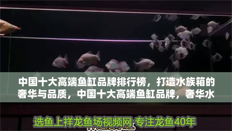中國十大高端魚缸品牌排行榜，打造水族箱的奢華與品質，中國十大高端魚缸品牌，奢華水族箱品質之選