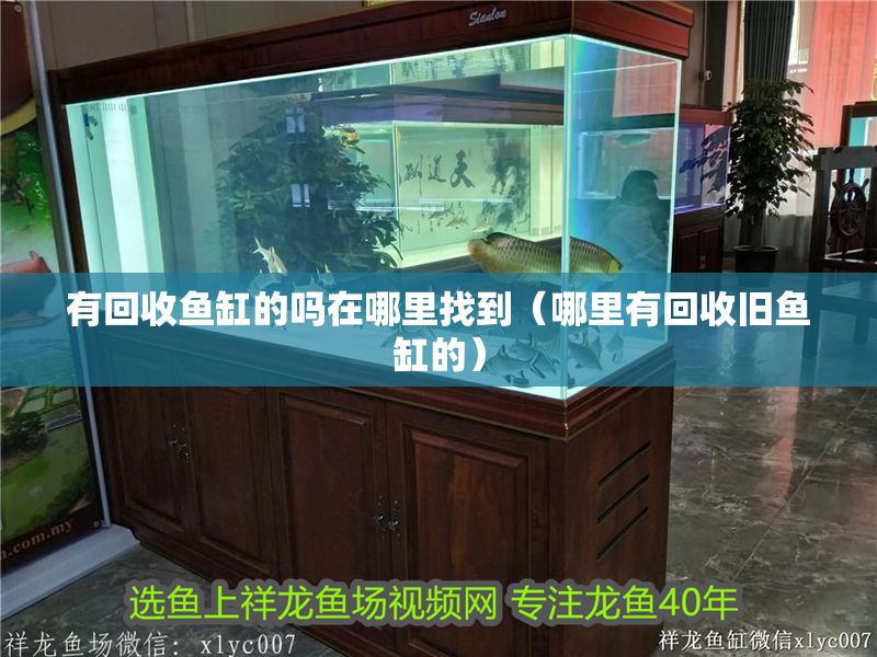 有回收魚缸的嗎在哪里找到（哪里有回收舊魚缸的）