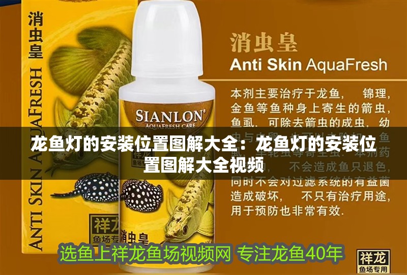 龍魚燈的安裝位置圖解大全：龍魚燈的安裝位置圖解大全視頻 龍魚燈的安裝位置圖解大全：龍魚燈的安裝位置圖解大全視頻 水族問答