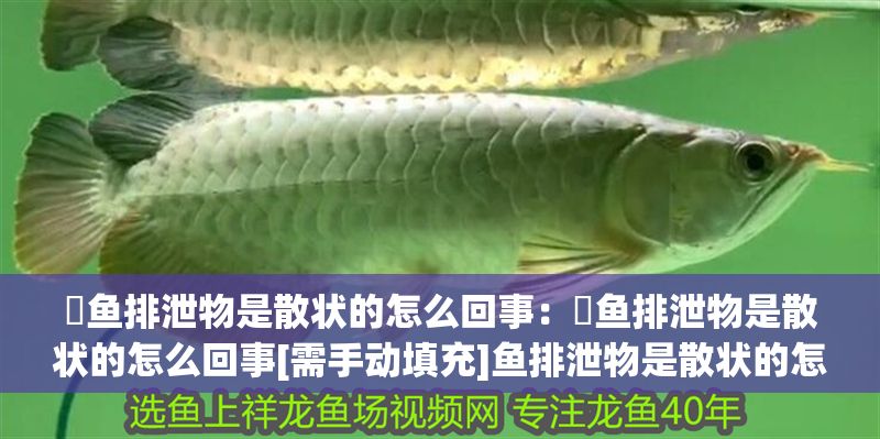 魟魚排泄物是散狀的怎么回事：魟魚排泄物是散狀的怎么回事[需手動填充]魚排泄物是散狀的怎么回事