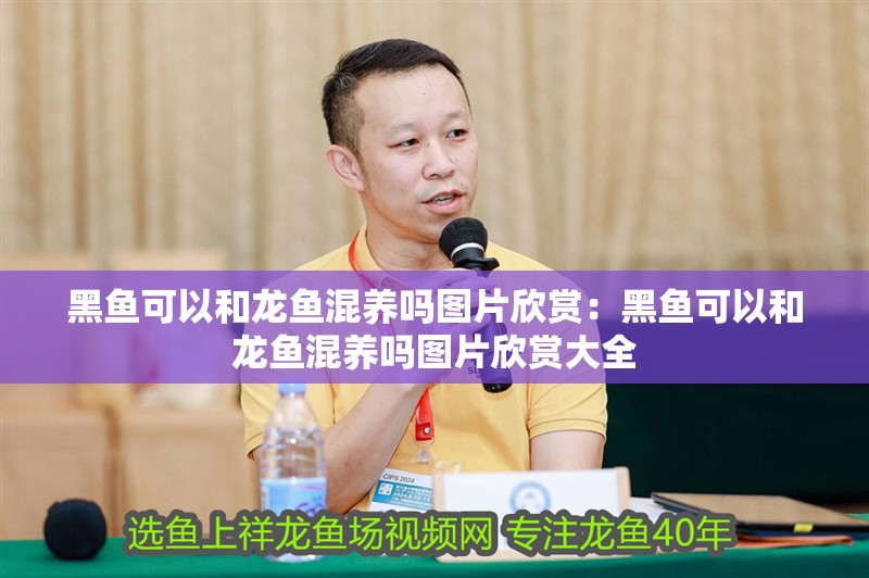 創(chuàng)寧水泵維修貼吧（創(chuàng)寧水泵維修電話）