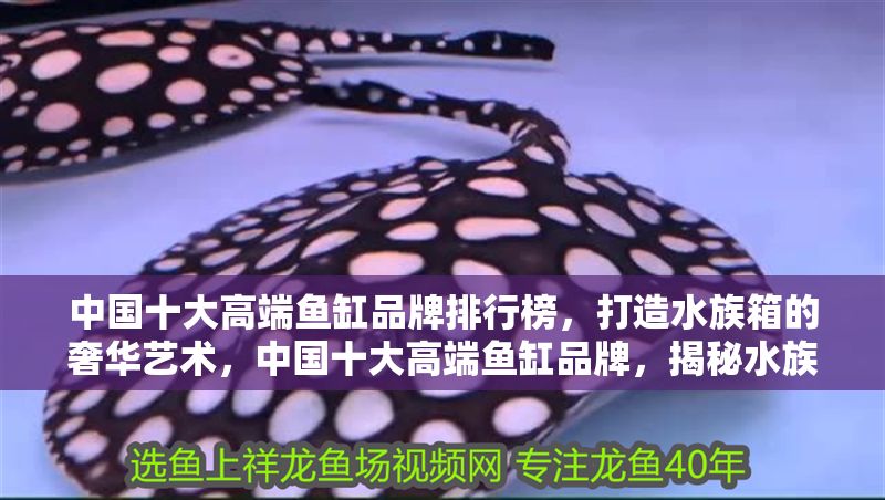 中國十大高端魚缸品牌排行榜,打造水族箱的奢華藝術,中國十大高端魚缸品牌,揭秘水族箱的奢華藝術