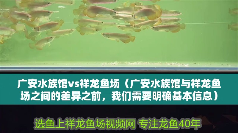 廣安水族館vs祥龍魚場（廣安水族館與祥龍魚場之間的差異之前，我們需要明確基本信息）
