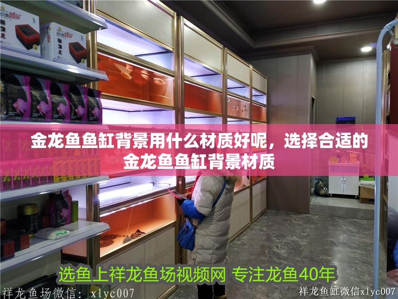 金龍魚魚缸背景用什么材質好呢，選擇合適的金龍魚魚缸背景材質 金龍魚魚缸背景用什么材質好呢，選擇合適的金龍魚魚缸背景材質 魚缸百科 第2張
